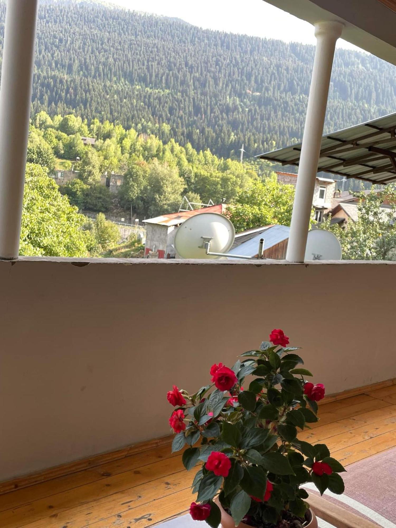 Guest House Nene Mestia Esterno foto
